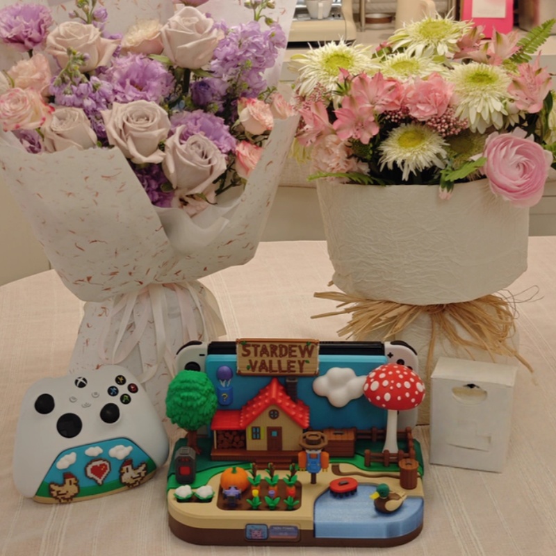 Switch Dock Stardew Valley Far - Gaming Console Holder recensie en prijs