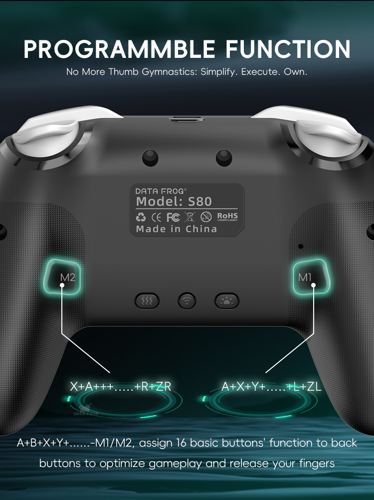 DATA FROG 2-pack draadloze Pro - Gaming Console For Android Tv recensie en prijs